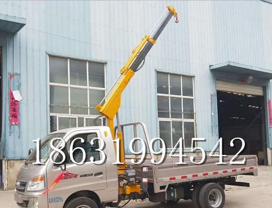 台江县车载吊机车载吊机吊车220伏家用吊机2吨移动小型蜘蛛吊移动